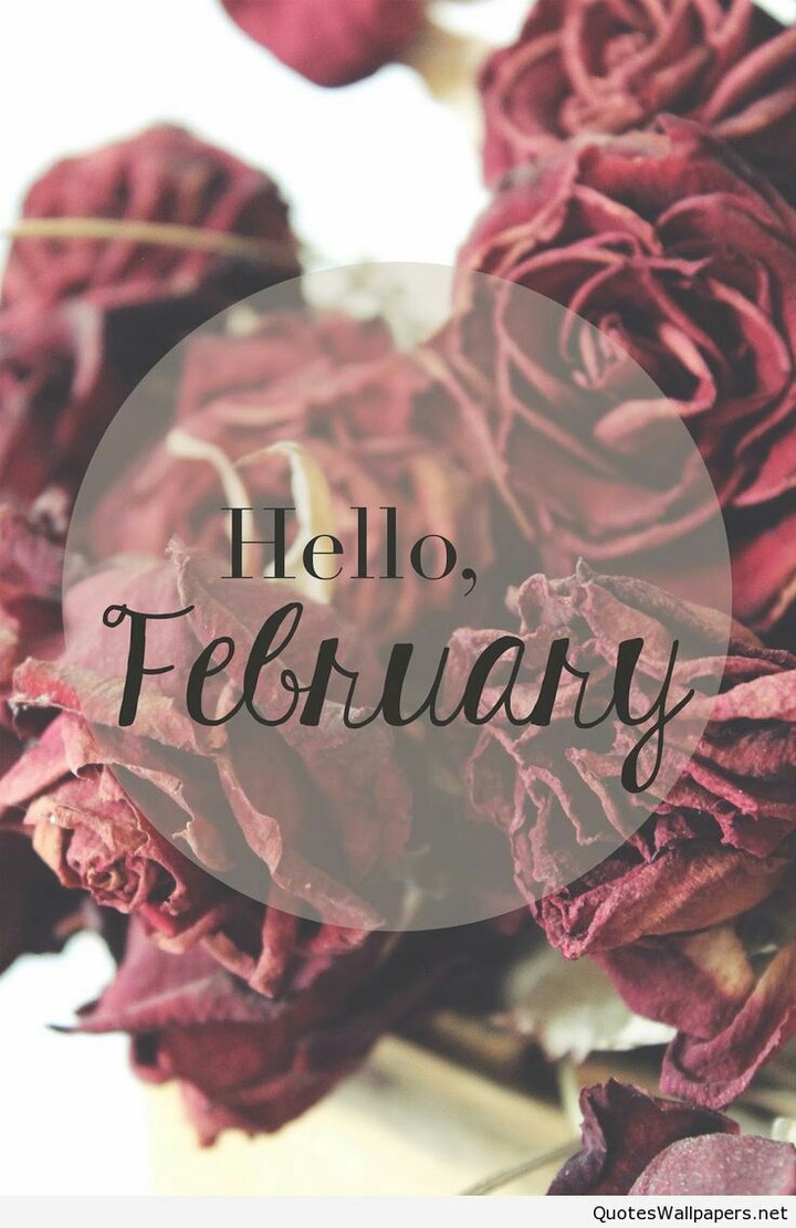 Hello February