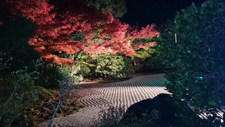 autumn color