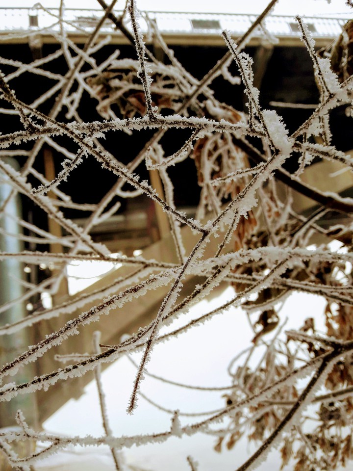 winter