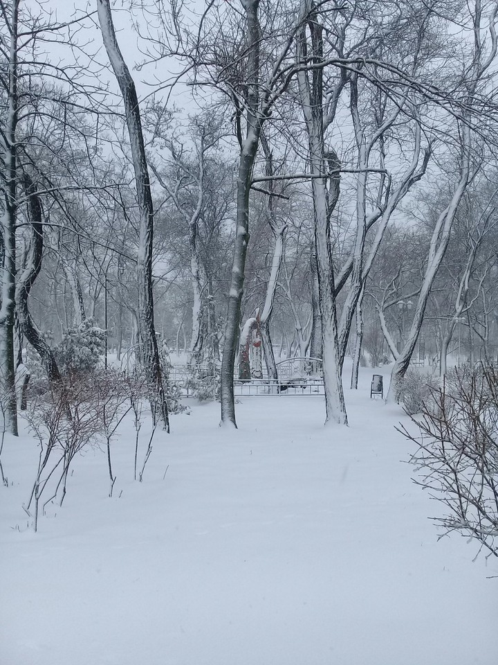winter