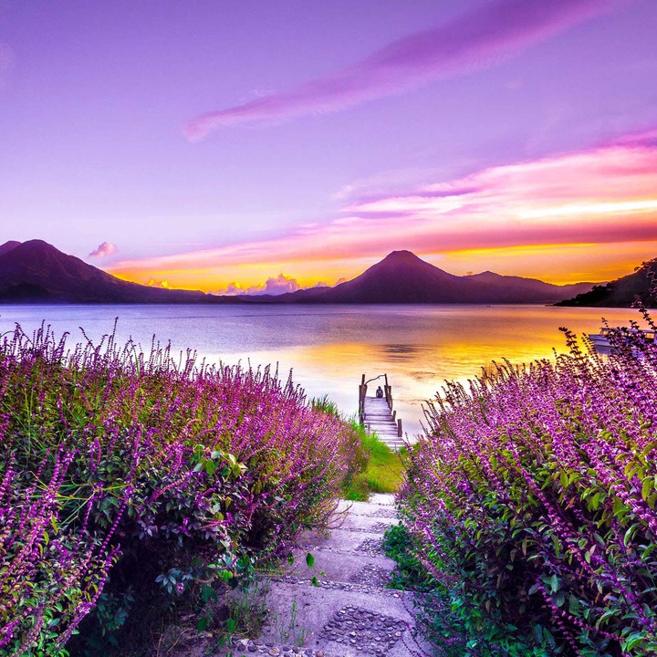 Natur