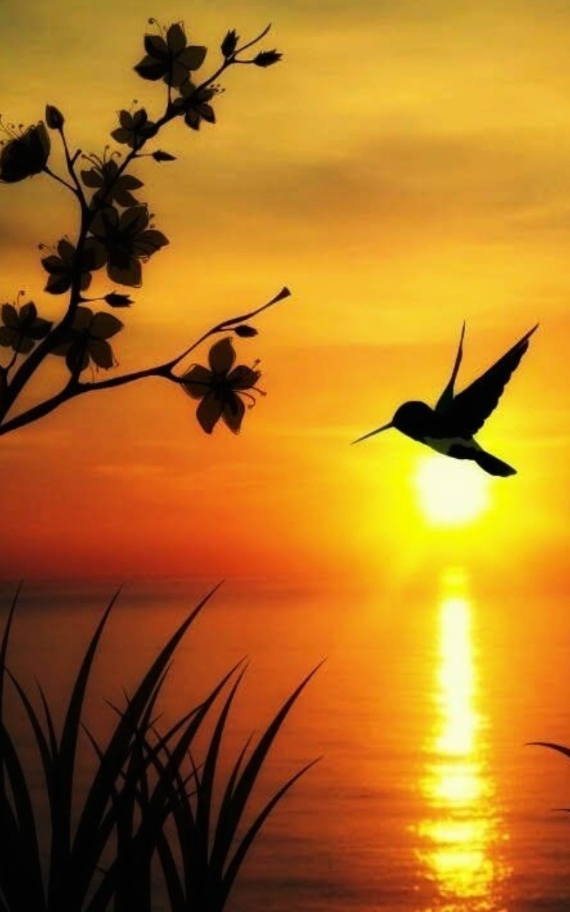 Tramonto