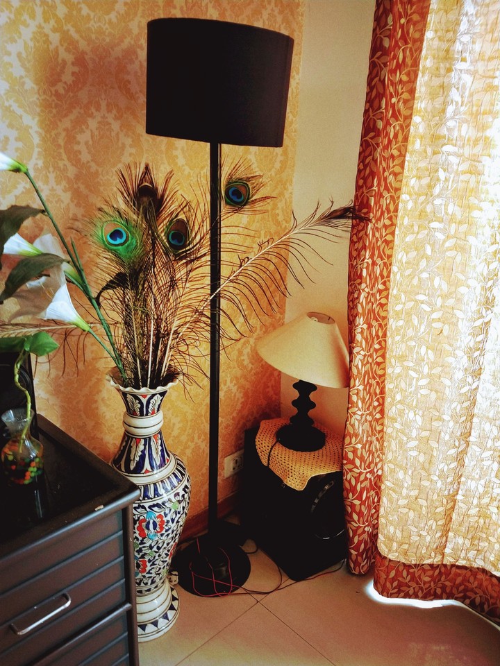 Homely