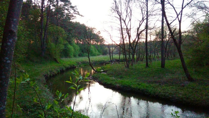 Nature in May