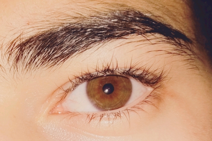 ojo medio marron :v