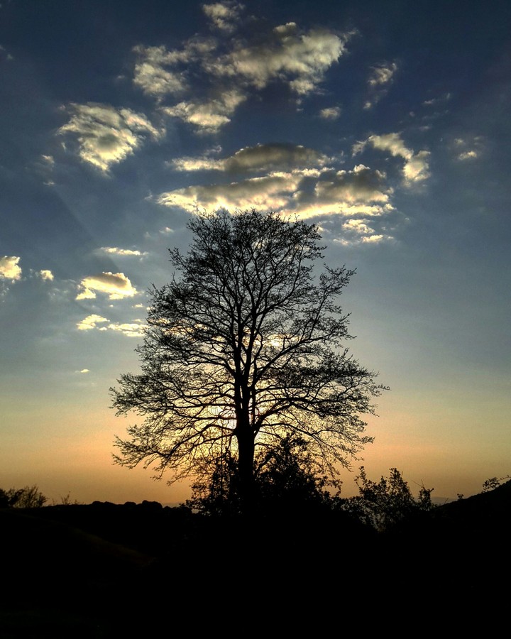 #Sunset