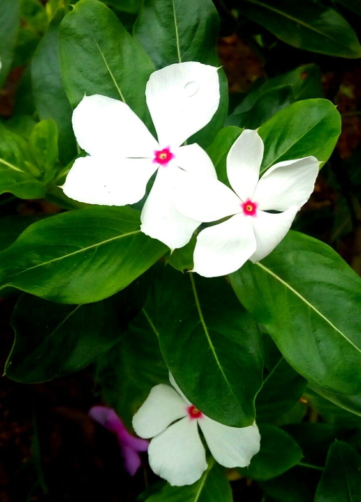 My own click!!
