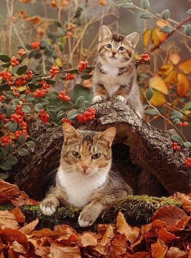 ❤❤❤