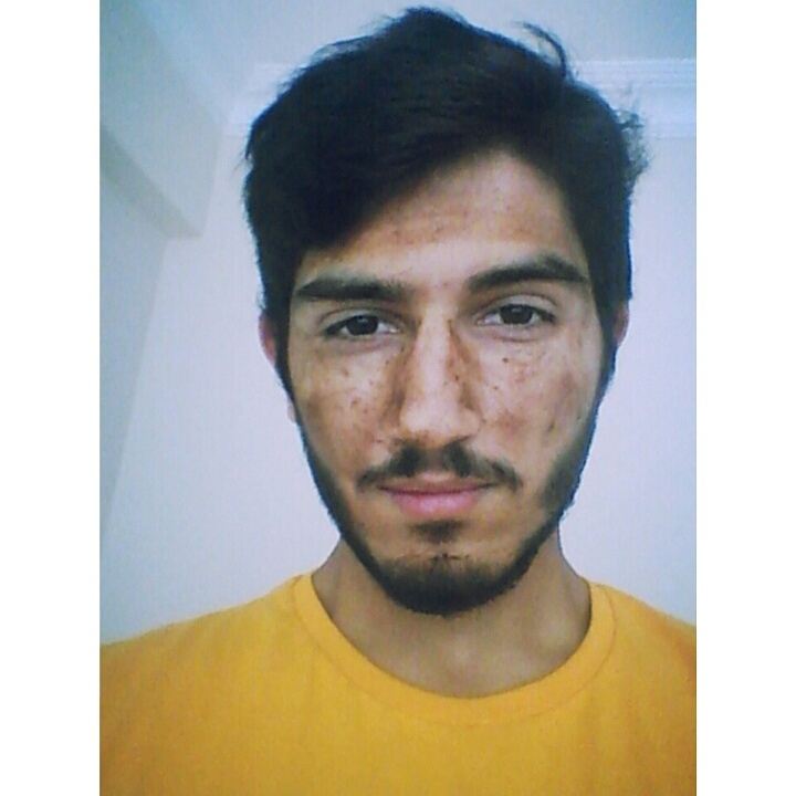 bla bla