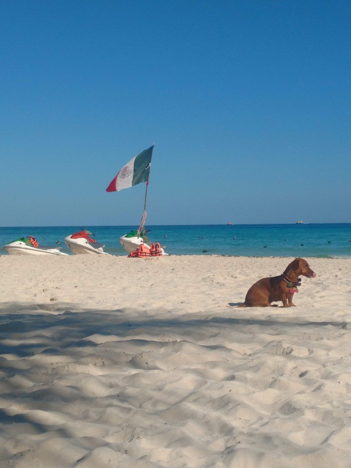 Salchicha mexicana