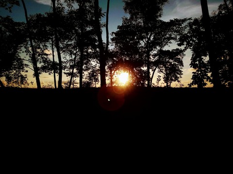 stunning evening