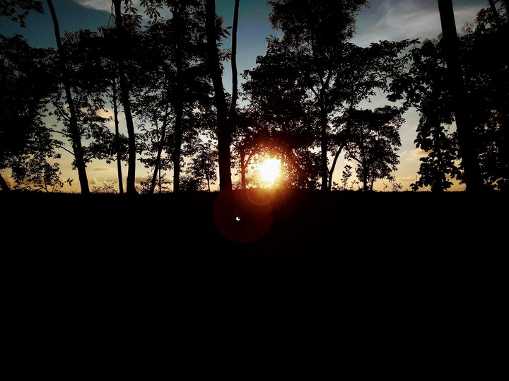 stunning evening
