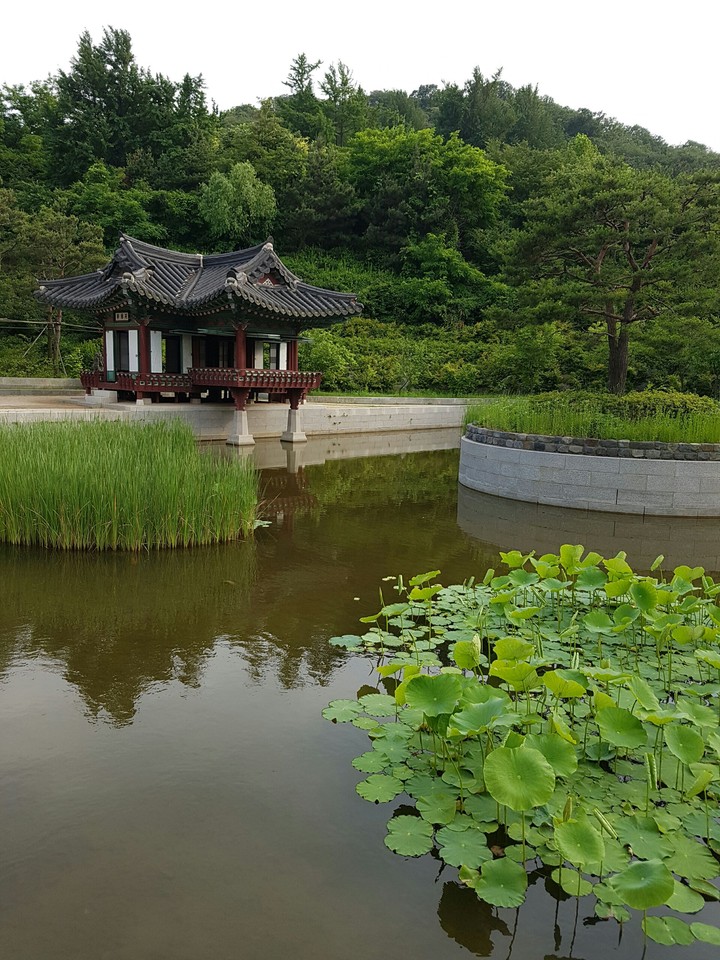 In korea