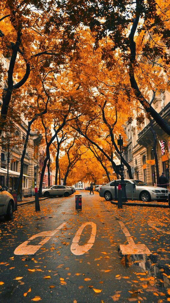 Autumn_colours