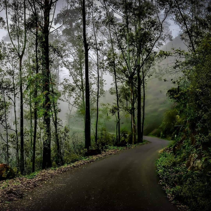Mountain  Road ...