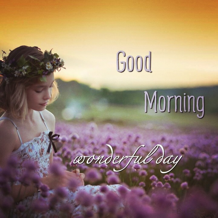 morning