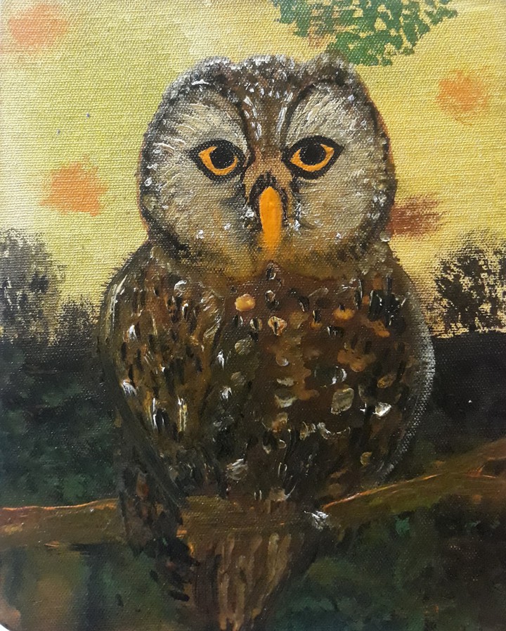 Owl