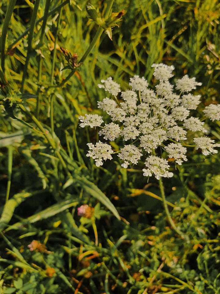summer