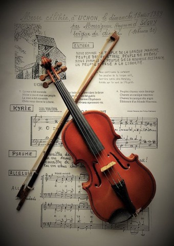 Violin