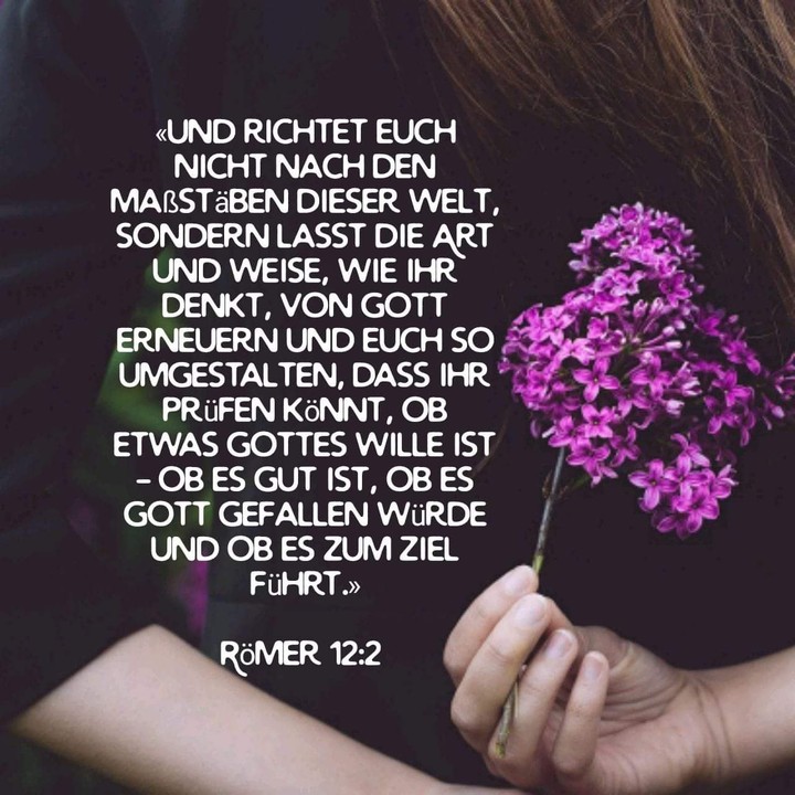 Bibel - Römer 12. 2