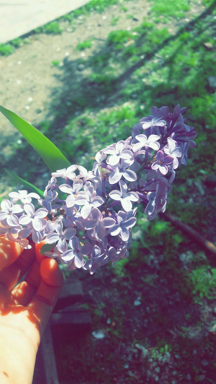 nature