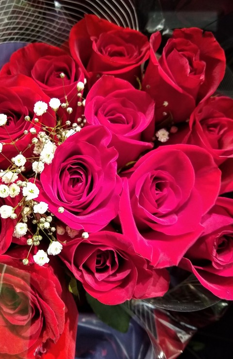 Roses