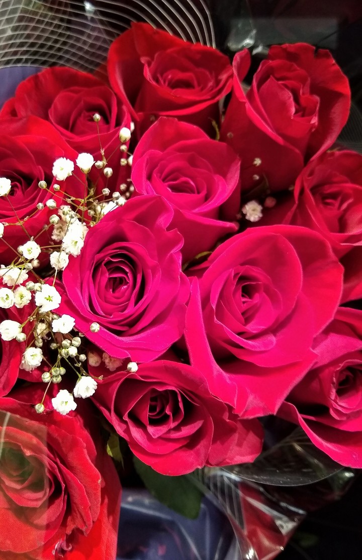 Roses