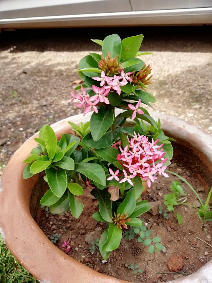 click by me