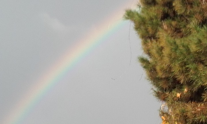 Nice rainbow, no?