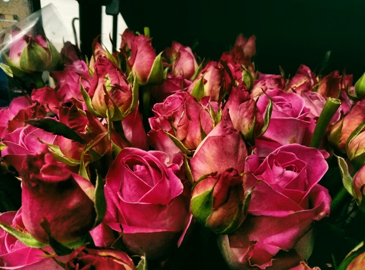flowers