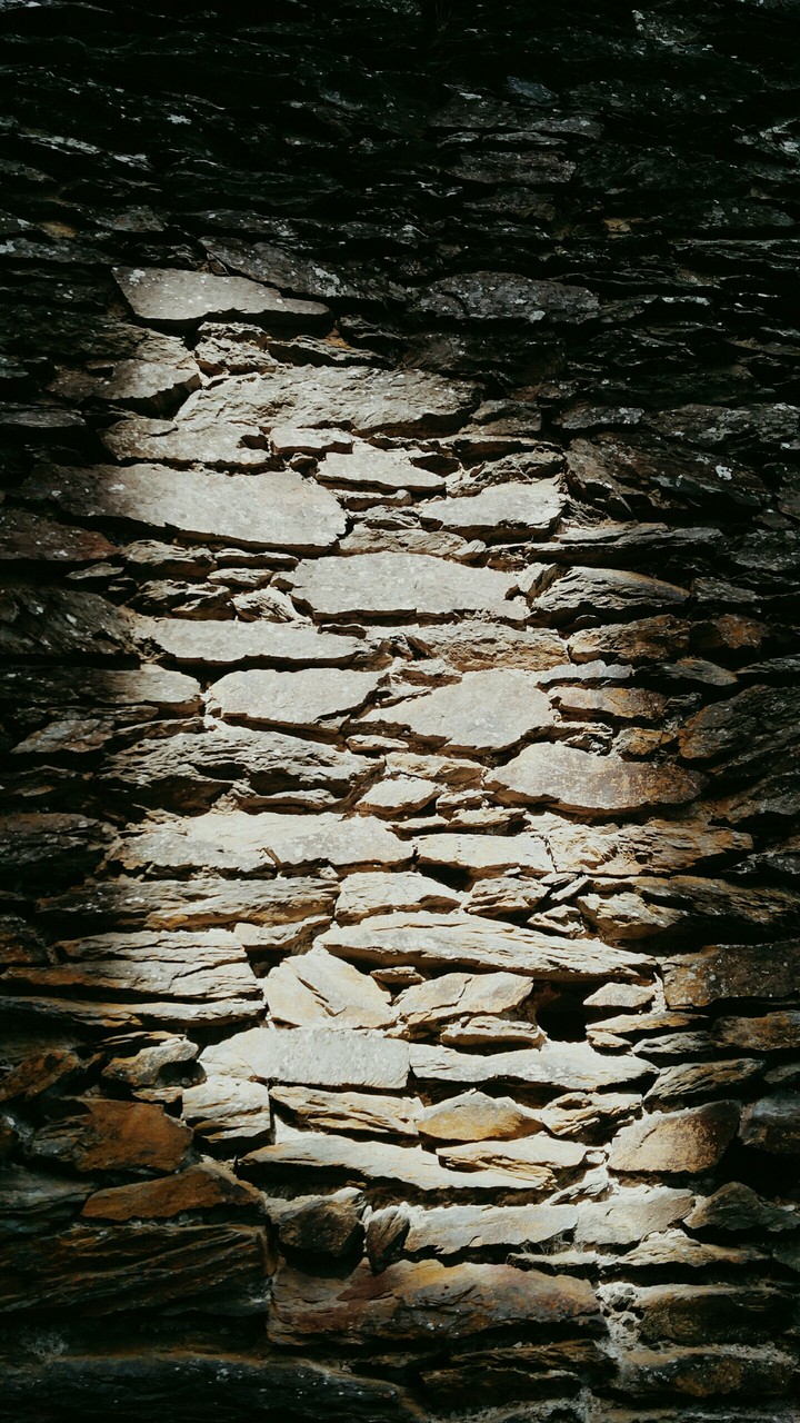 Wall