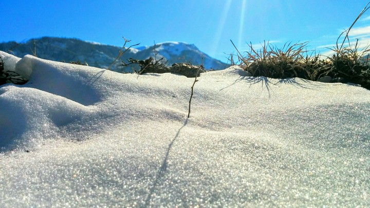 Cold day in February