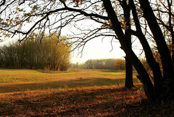 autumn
