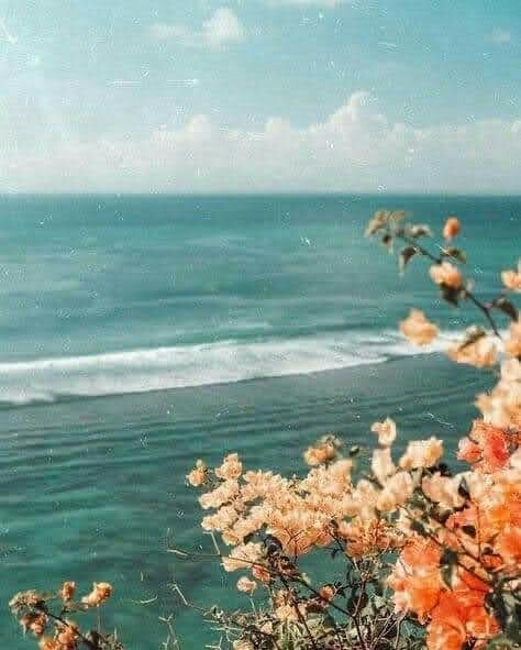 like a dream !