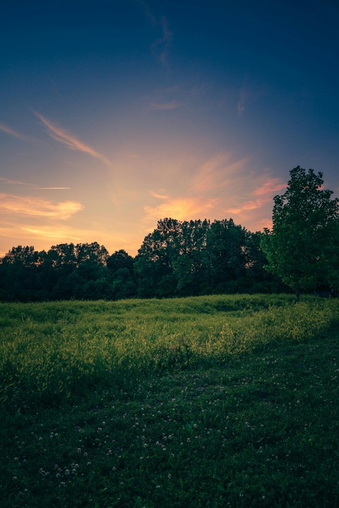 sfondi summer, green