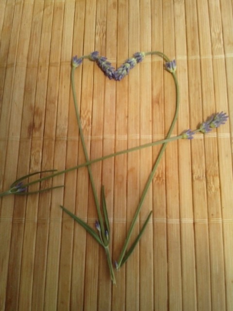 Levander heart with arrow.