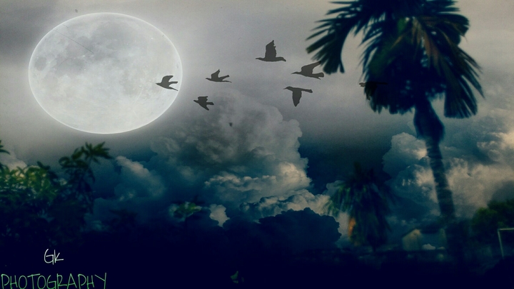 nature