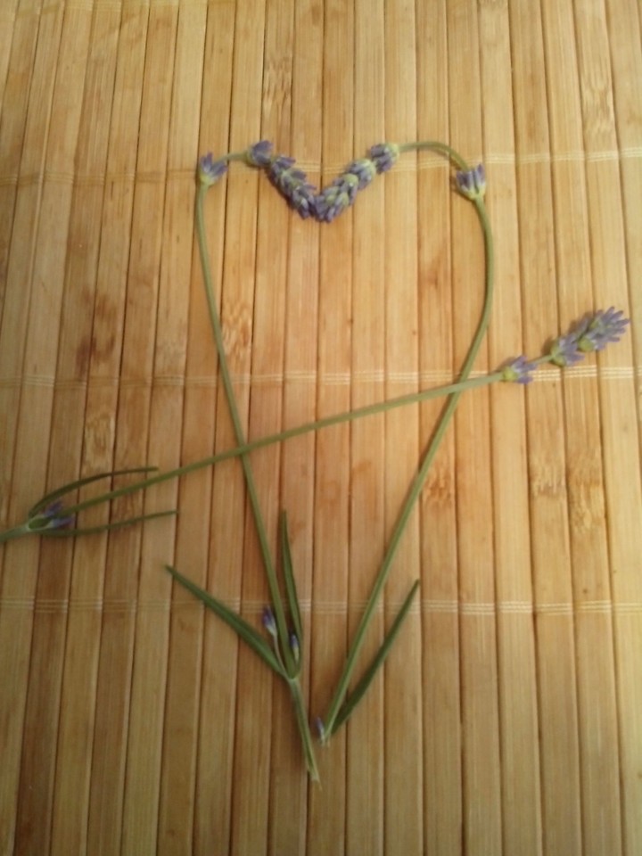 Levander heart with arrow.