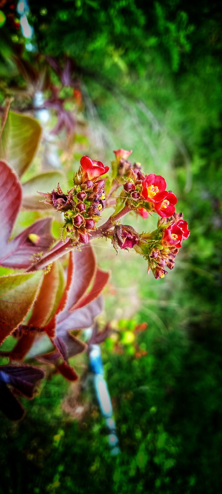 nature shots