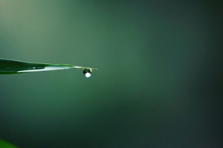water drop