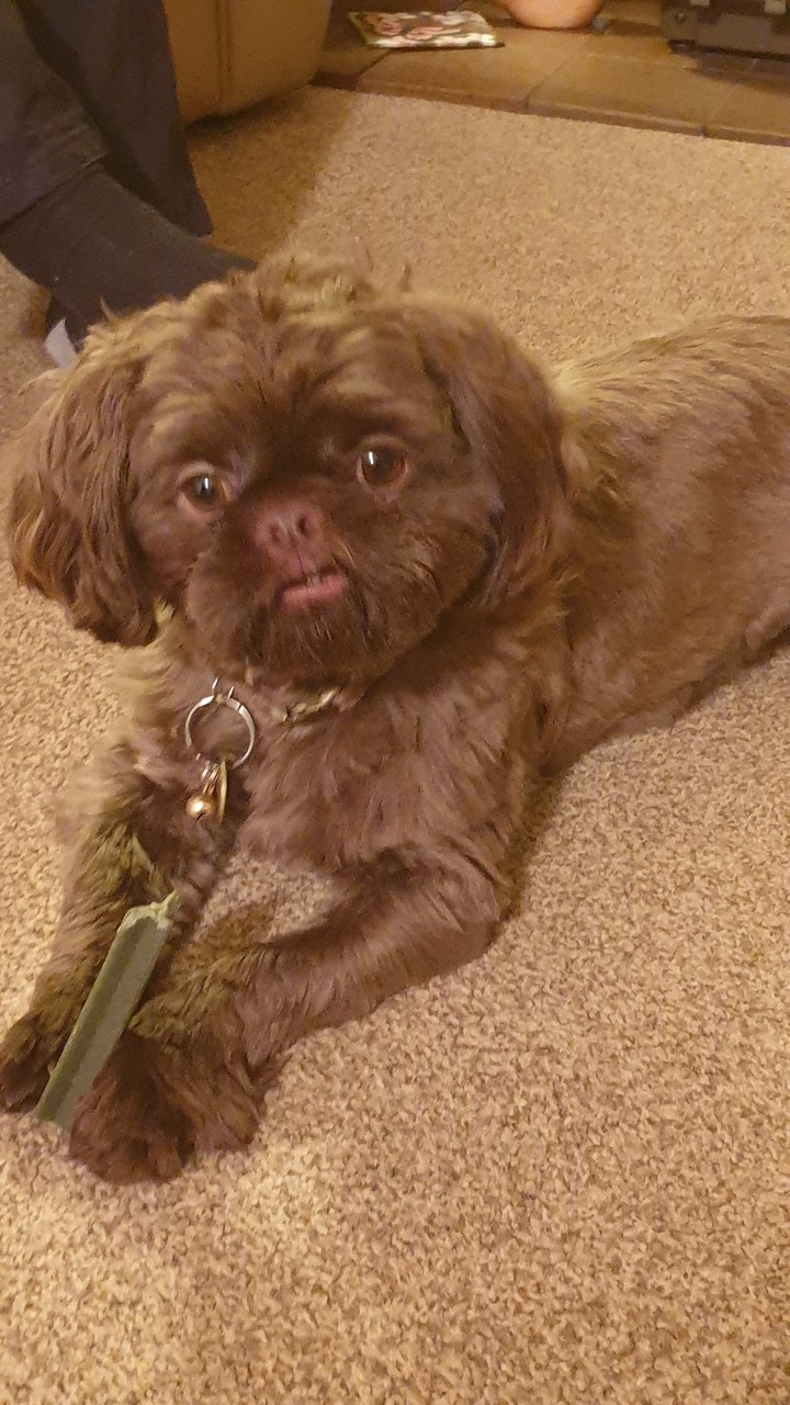 treat time!!!