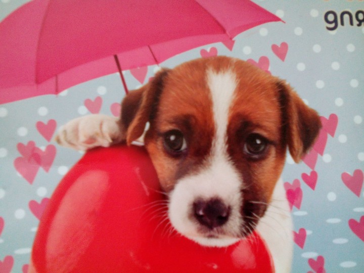 Мило