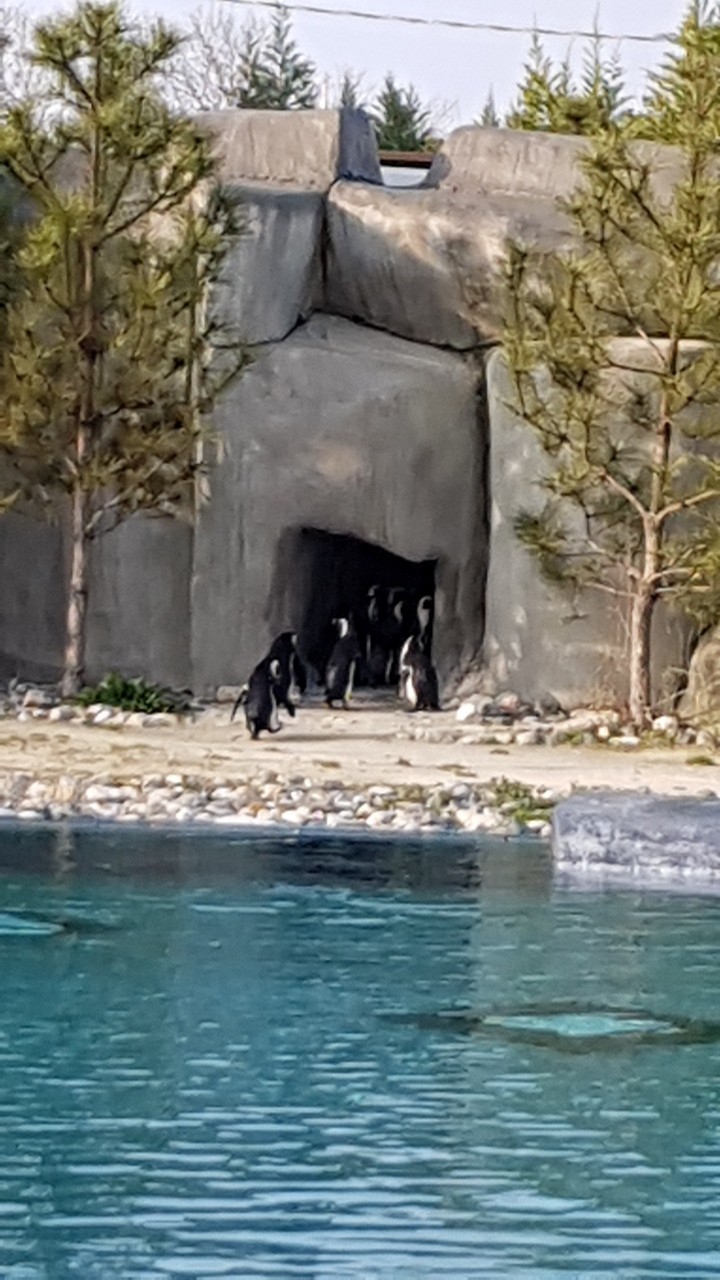 BURSA ZOO