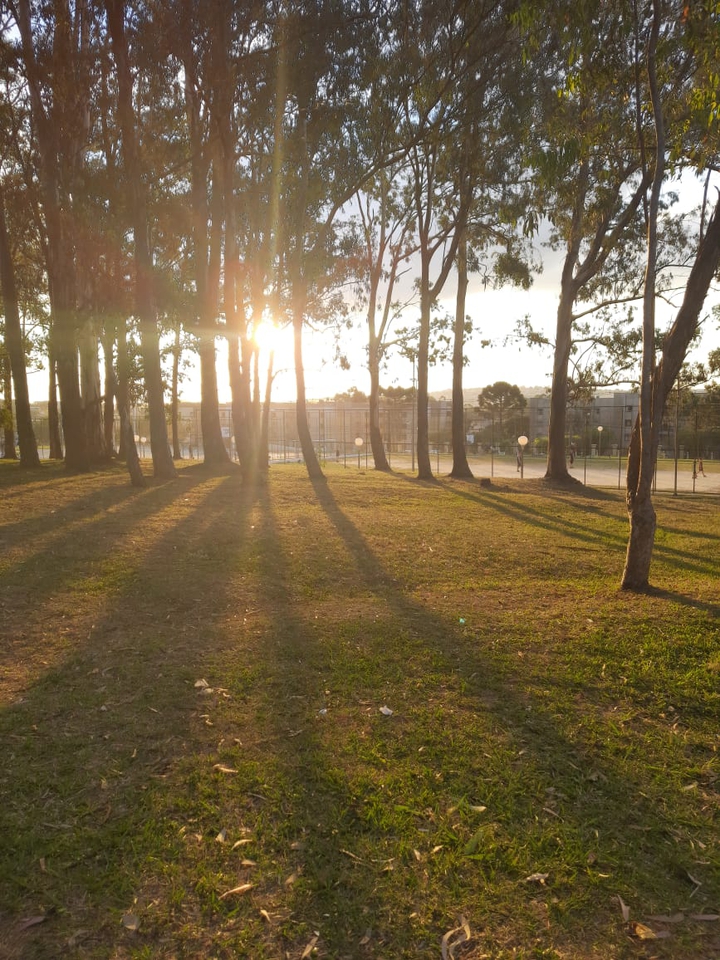 Parque do Monteiro  em Ponta Grossa no Paraná.