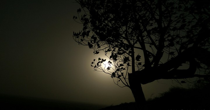 black shade