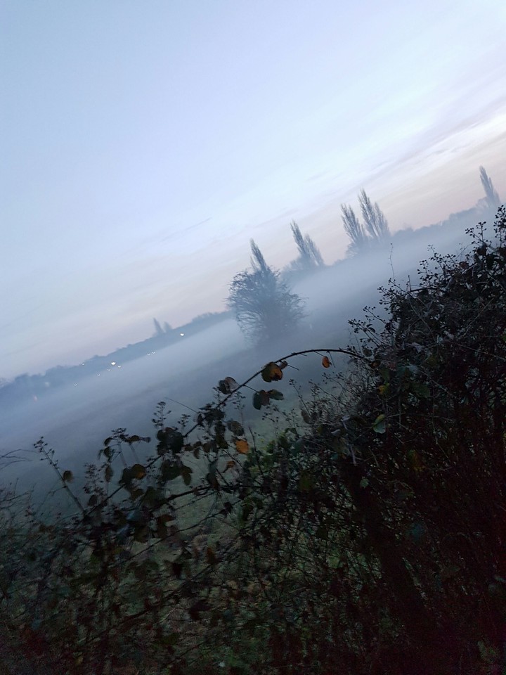 misty evening