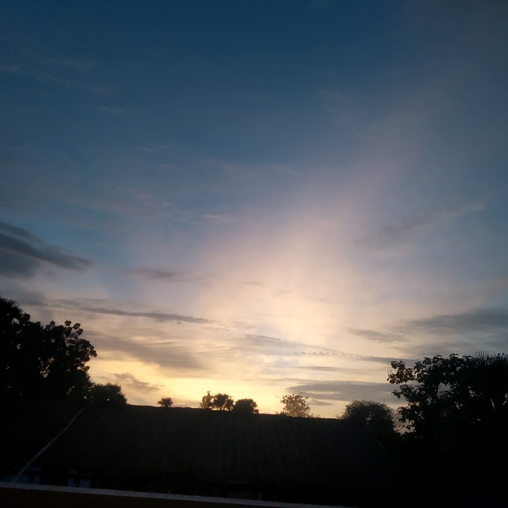 sunset with trees showing