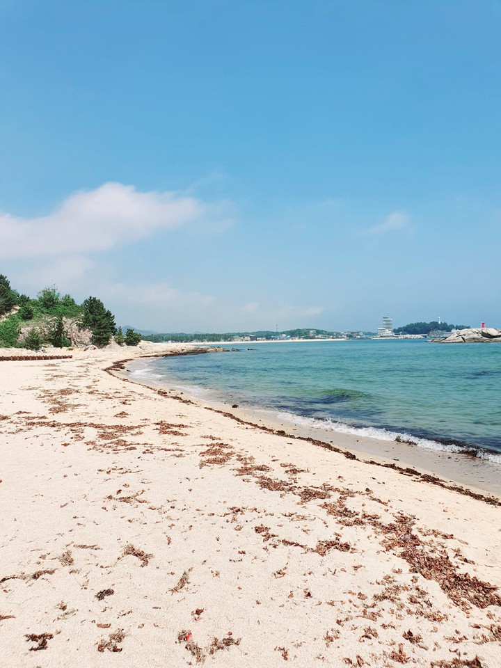seashore