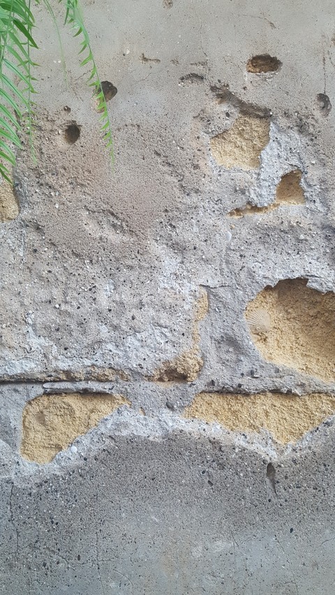sea wall