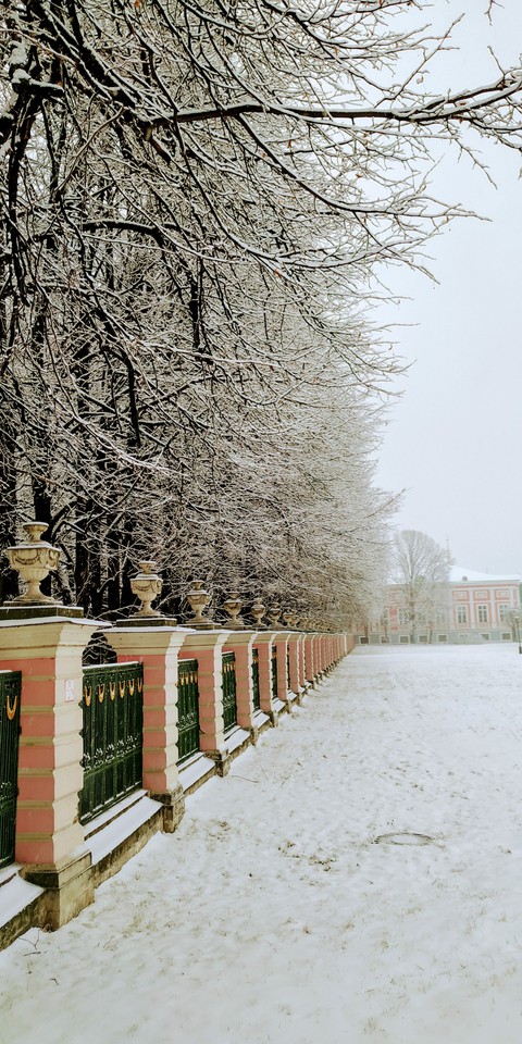 winter